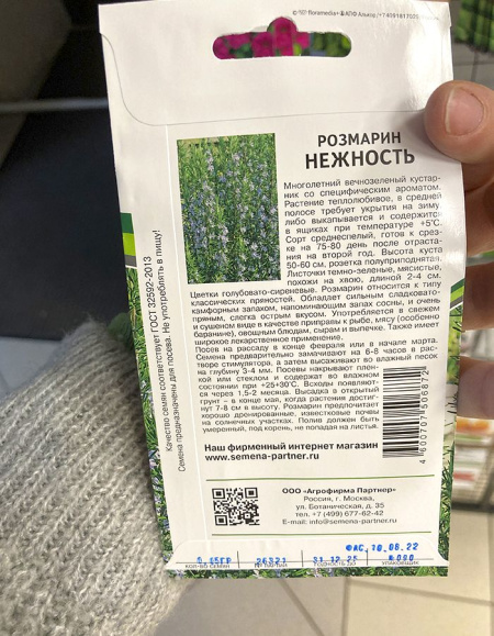 Розмарин Нежность